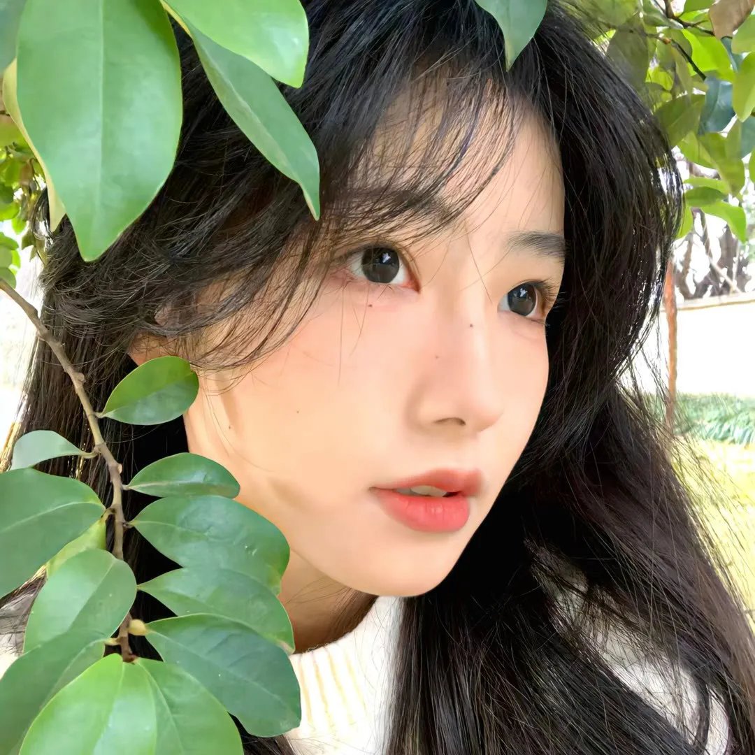 温顺者海报